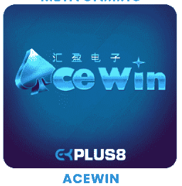 ACEWIN