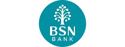 BSN